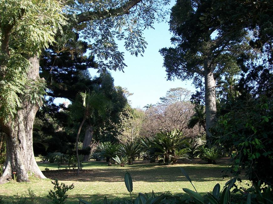 Durban Botanic Gardens