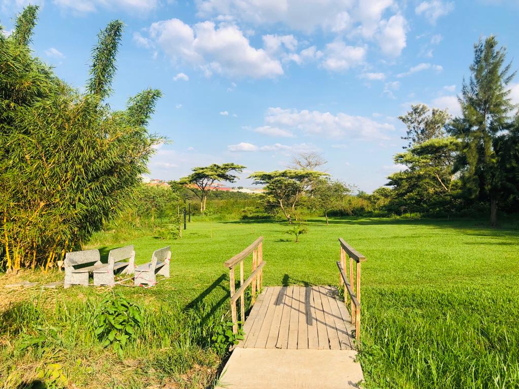 Nyandungu Urban Wetland Eco-Tourism Park